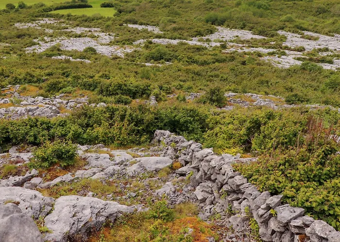 Дом отдыха Ash House