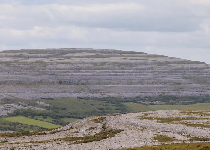 Дом отдыха Ash House